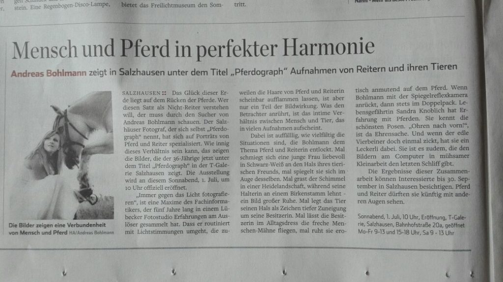 Pferd-O-Graph im Hamburger Abendblatt